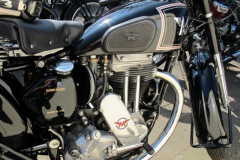 Eenhoorn_10